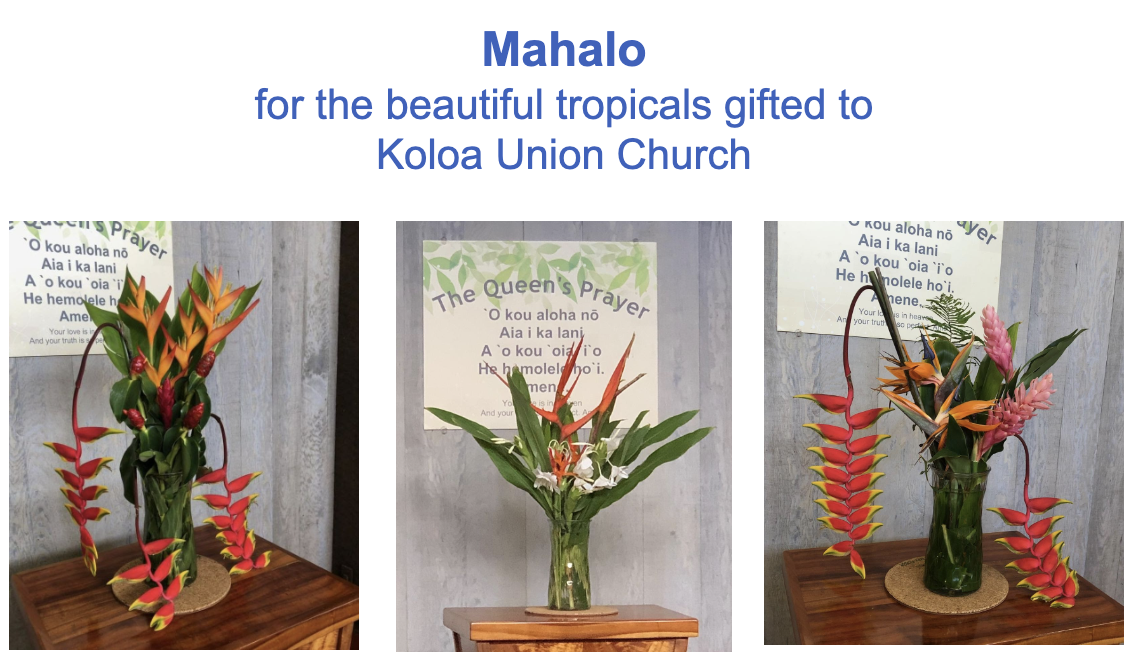 Koloa Union Church Service Volunteers